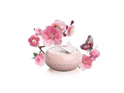 Chando-Pink Romance For Her Oda Kokusu-30213197
