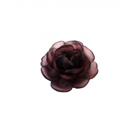 Sirmaison-Cam Lotus Çiçeği-30199835